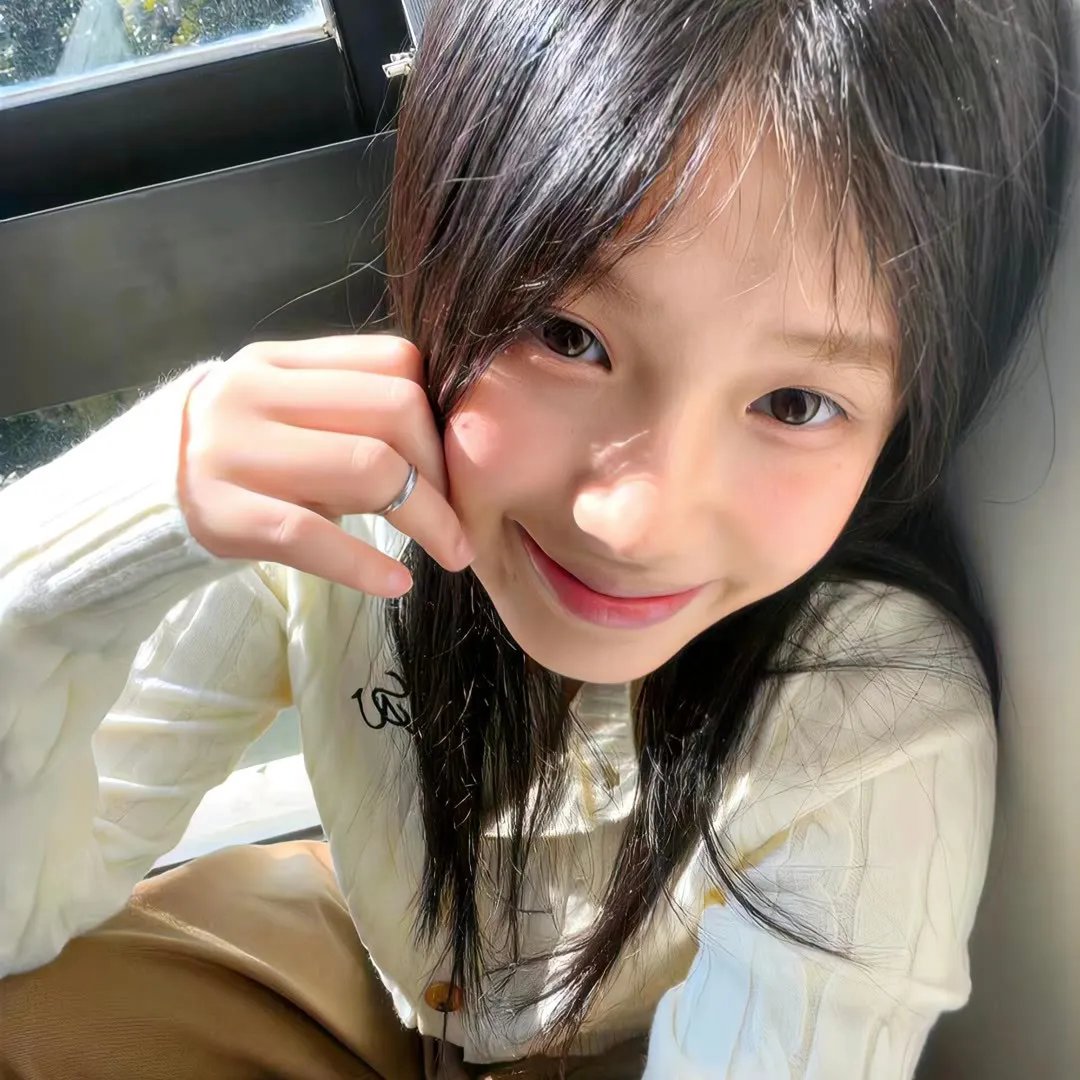 灰鸽子之歌封面